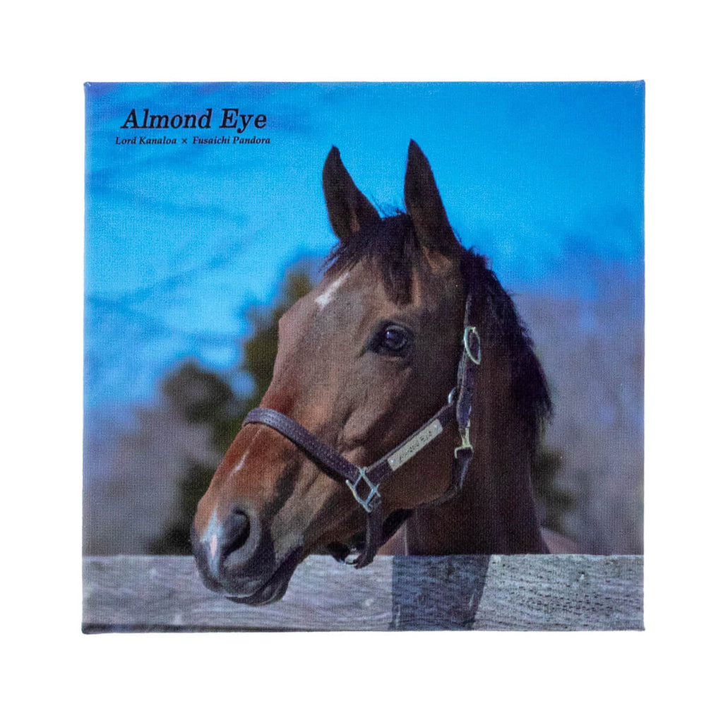 競馬グッズの通販サイト ノーザンホースパーク オンラインショップ