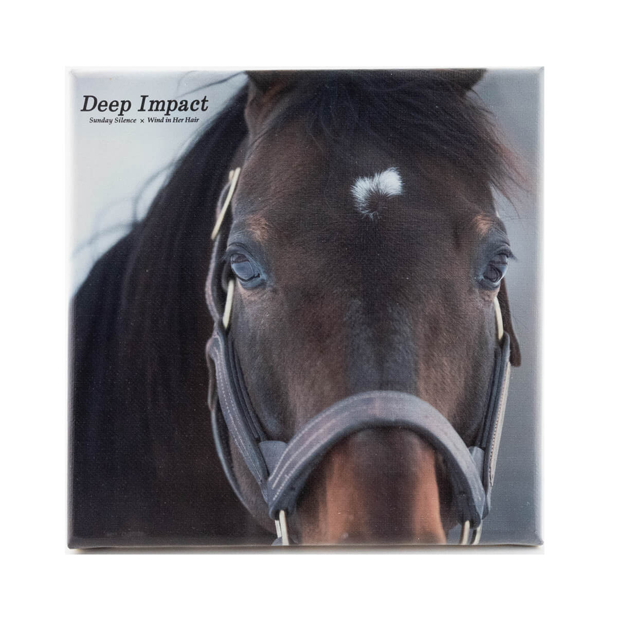 競馬グッズの通販サイト ノーザンホースパーク オンラインショップ