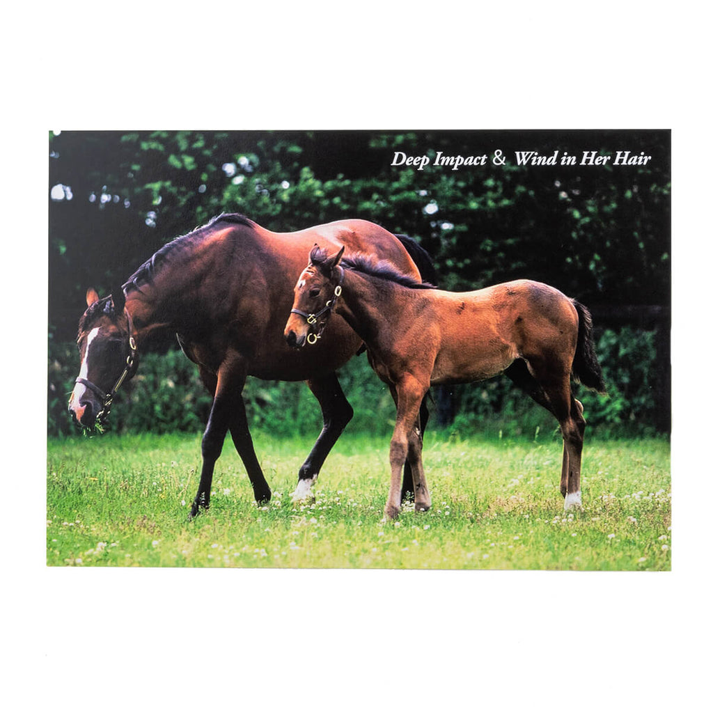 競馬グッズの通販サイト ノーザンホースパーク オンラインショップ