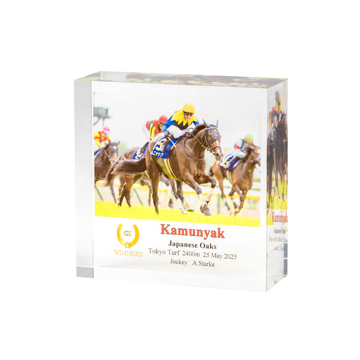 新品 未使用 希少ノーザンホースパーク プレミアムBOX 新商品 - 競馬グッズの通販サイト ノーザンホースパーク