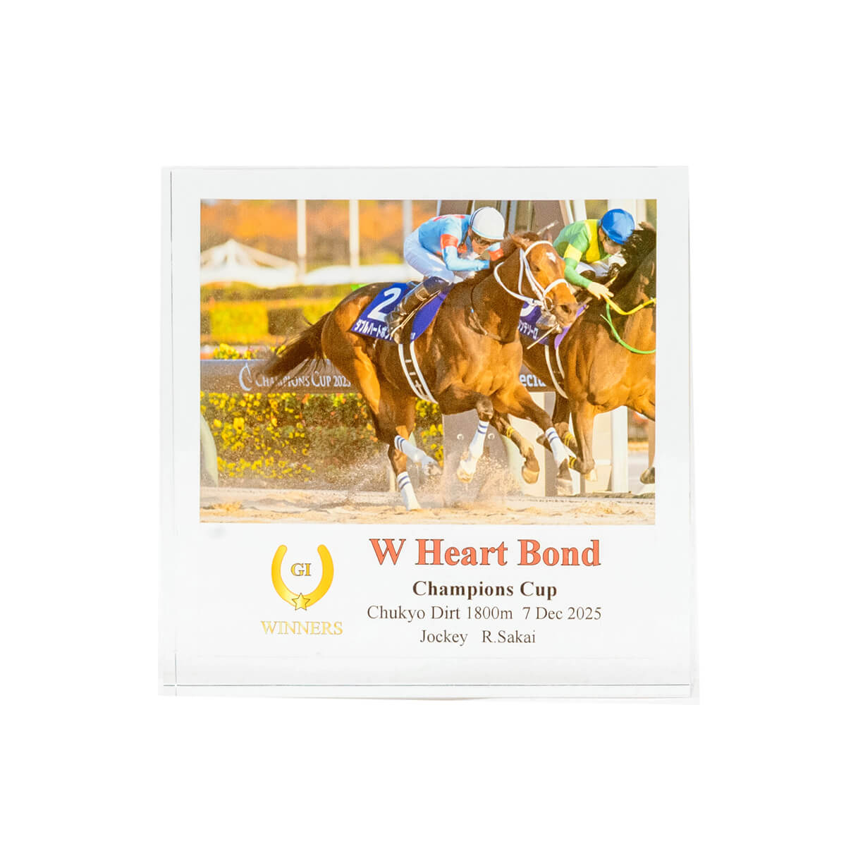 限定品♡ゴールドシップ インテリア キャンバスボード 競馬/午年 限定