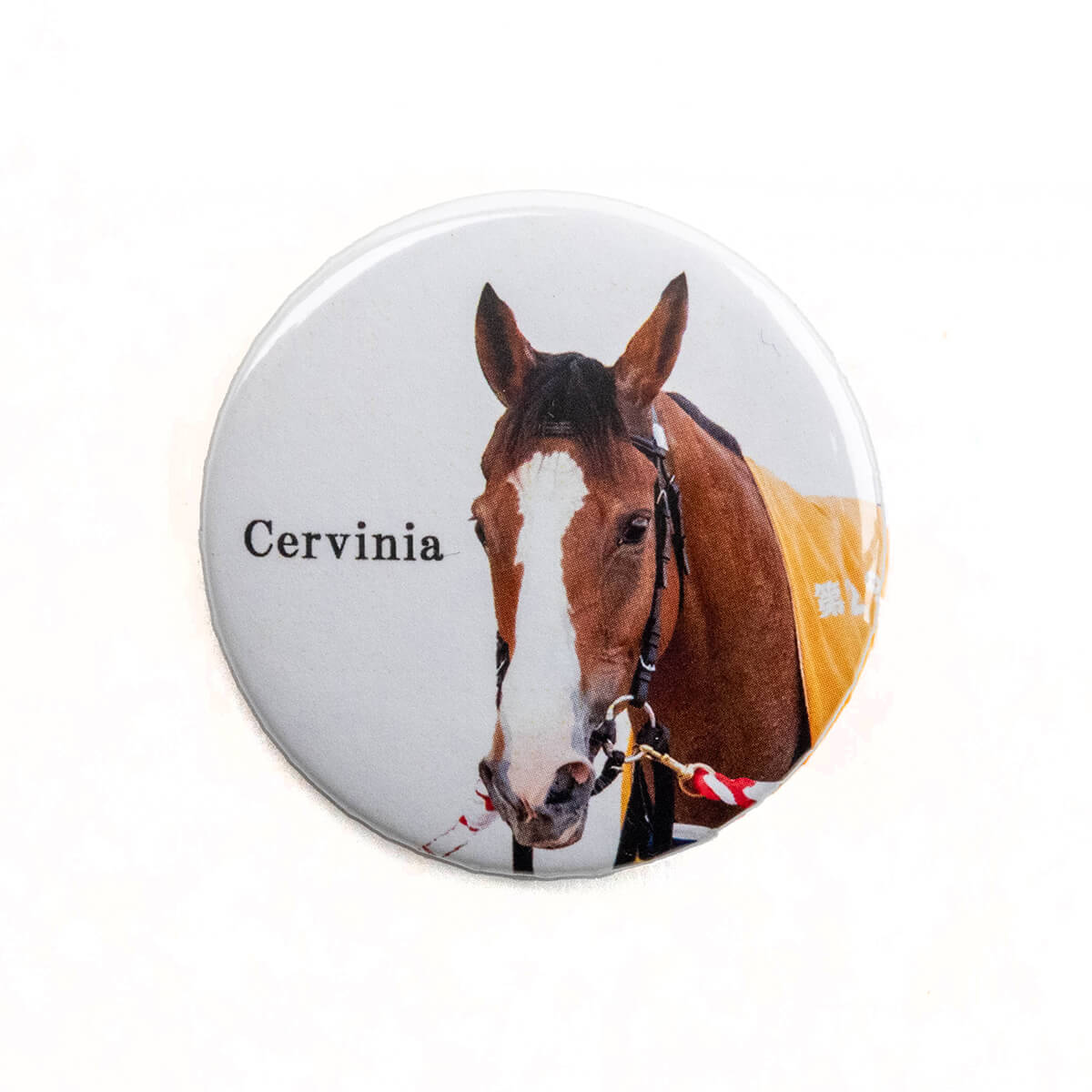 その他競走馬 - 競馬グッズの通販サイト ノーザンホースパーク