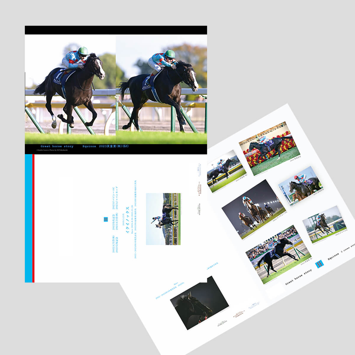 クリアファイル イクイノックス 2枚セット ver.2 - 競馬グッズの通販