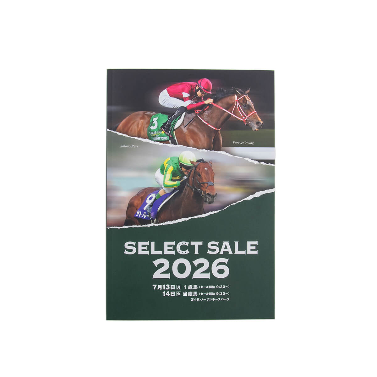 競走馬 DVD まとめ売り　16枚 競馬グッズ / 本・DVD - 競馬グッズの通販サイト ノーザンホースパーク