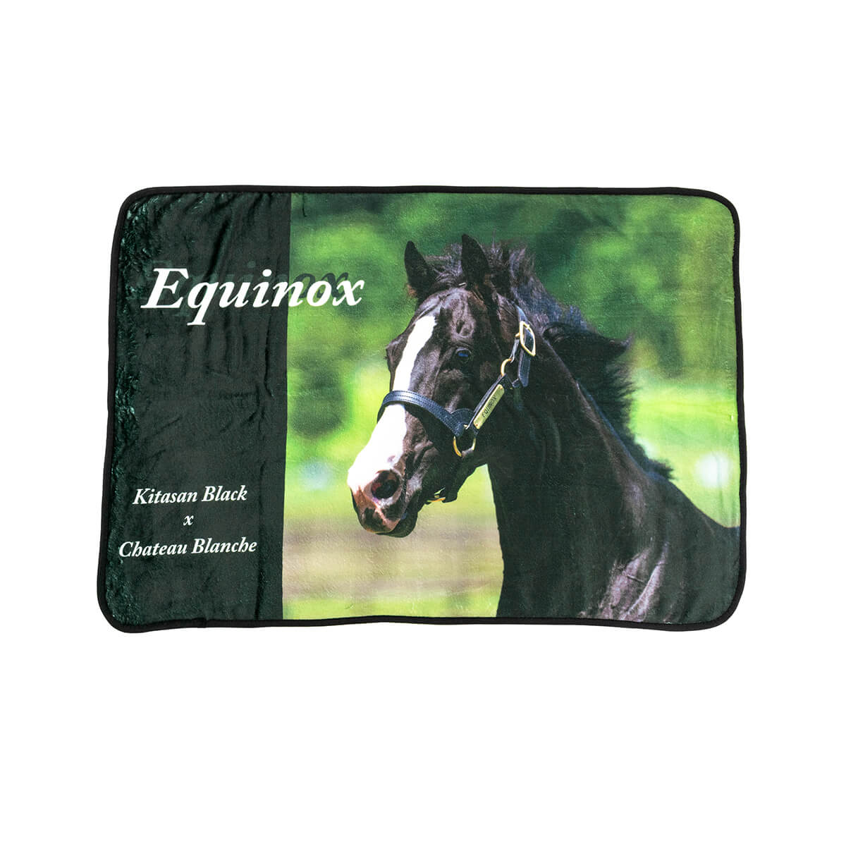 イクイノックス - 競馬グッズの通販サイト ノーザンホースパーク