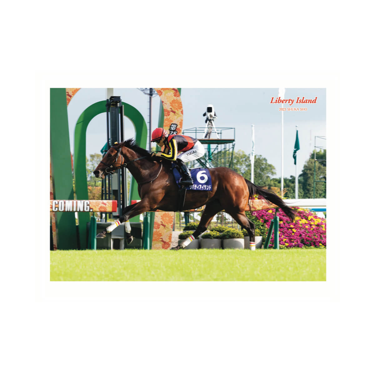 リバティアイランド - 競馬グッズの通販サイト ノーザンホース