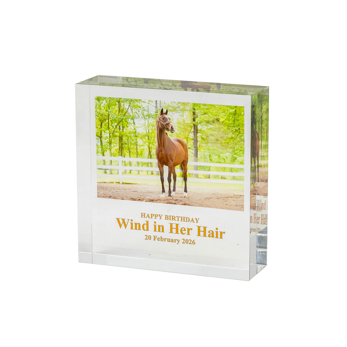 その他競走馬 - 競馬グッズの通販サイト ノーザンホースパーク