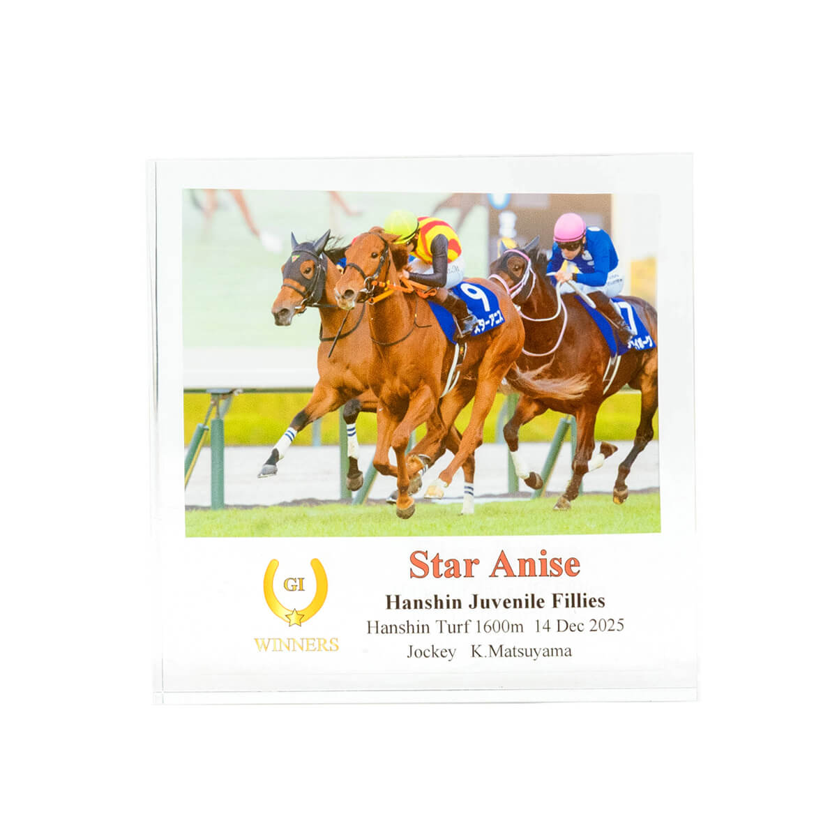 アクリルオブジェ スターアニス 阪神ジュベナイルフィリーズ2025