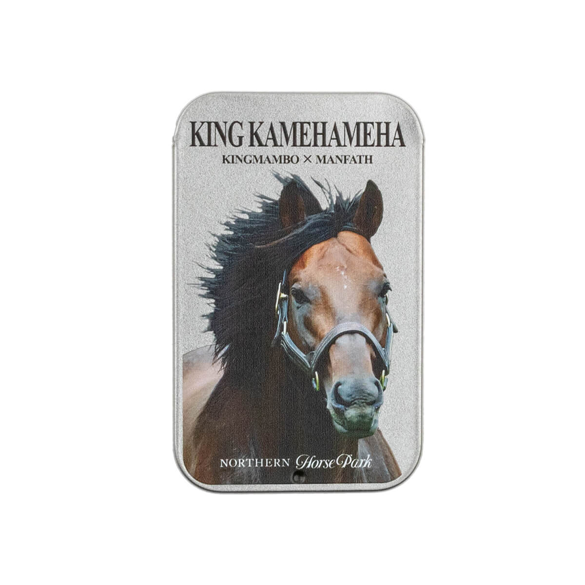 スライド缶ラムネ キングカメハメハ - 競馬グッズの通販サイト