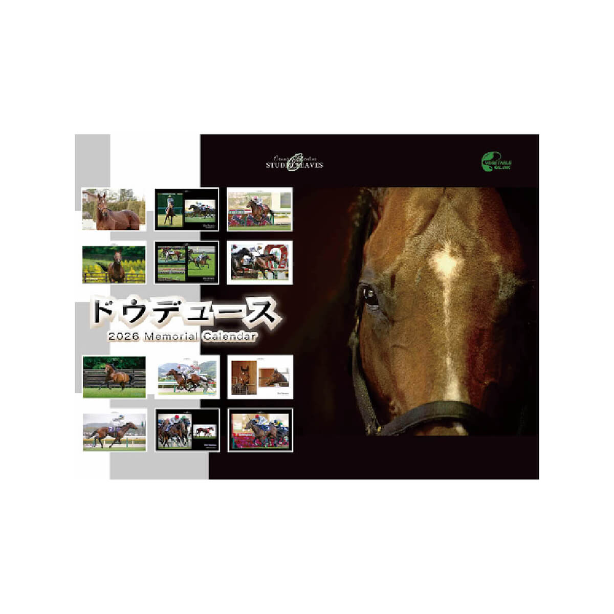 ドウデュース 関連グッズセット ドウデュース・タオルセット｜netkeiba