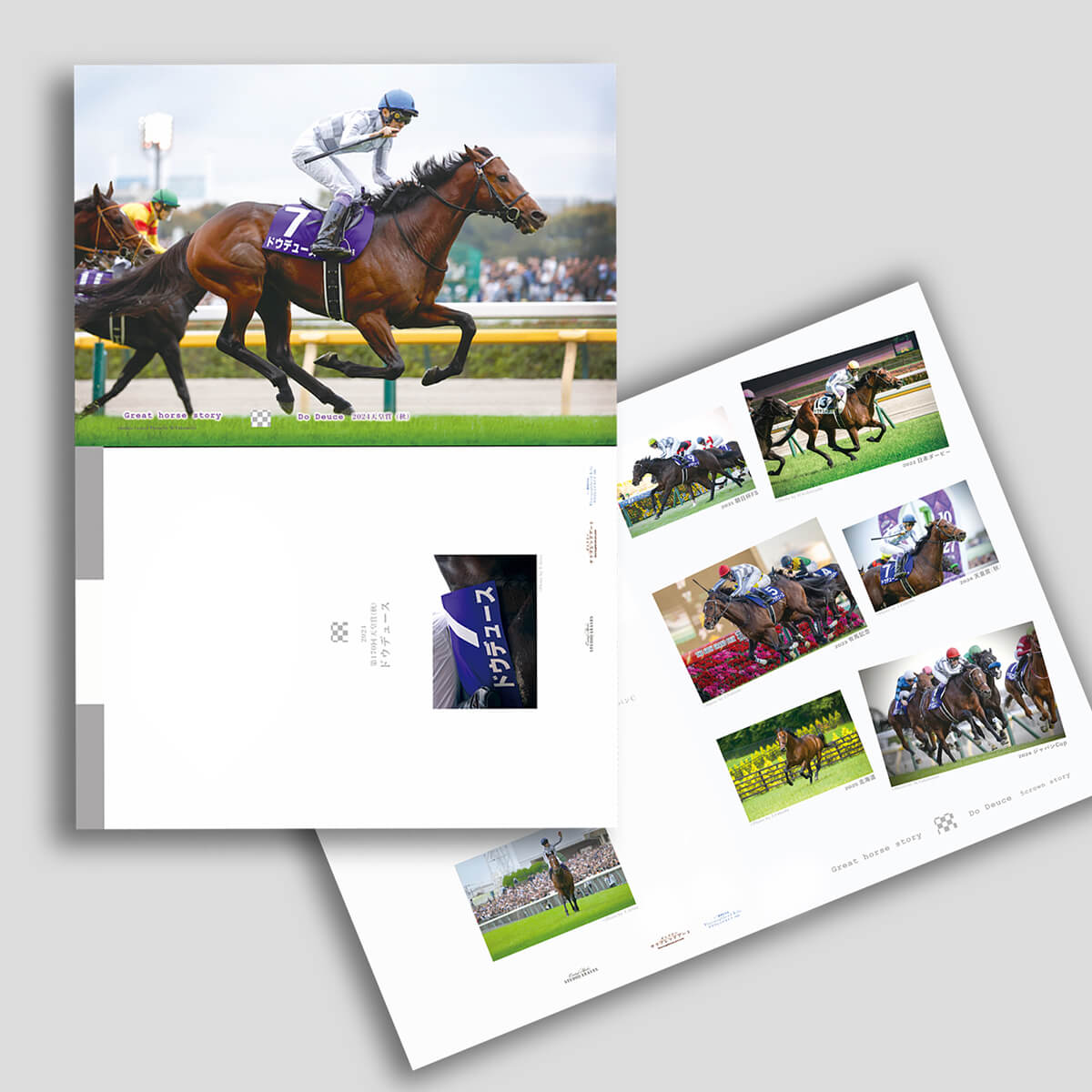 ドウデュース 関連グッズセット ドウデュース・タオルセット｜netkeiba