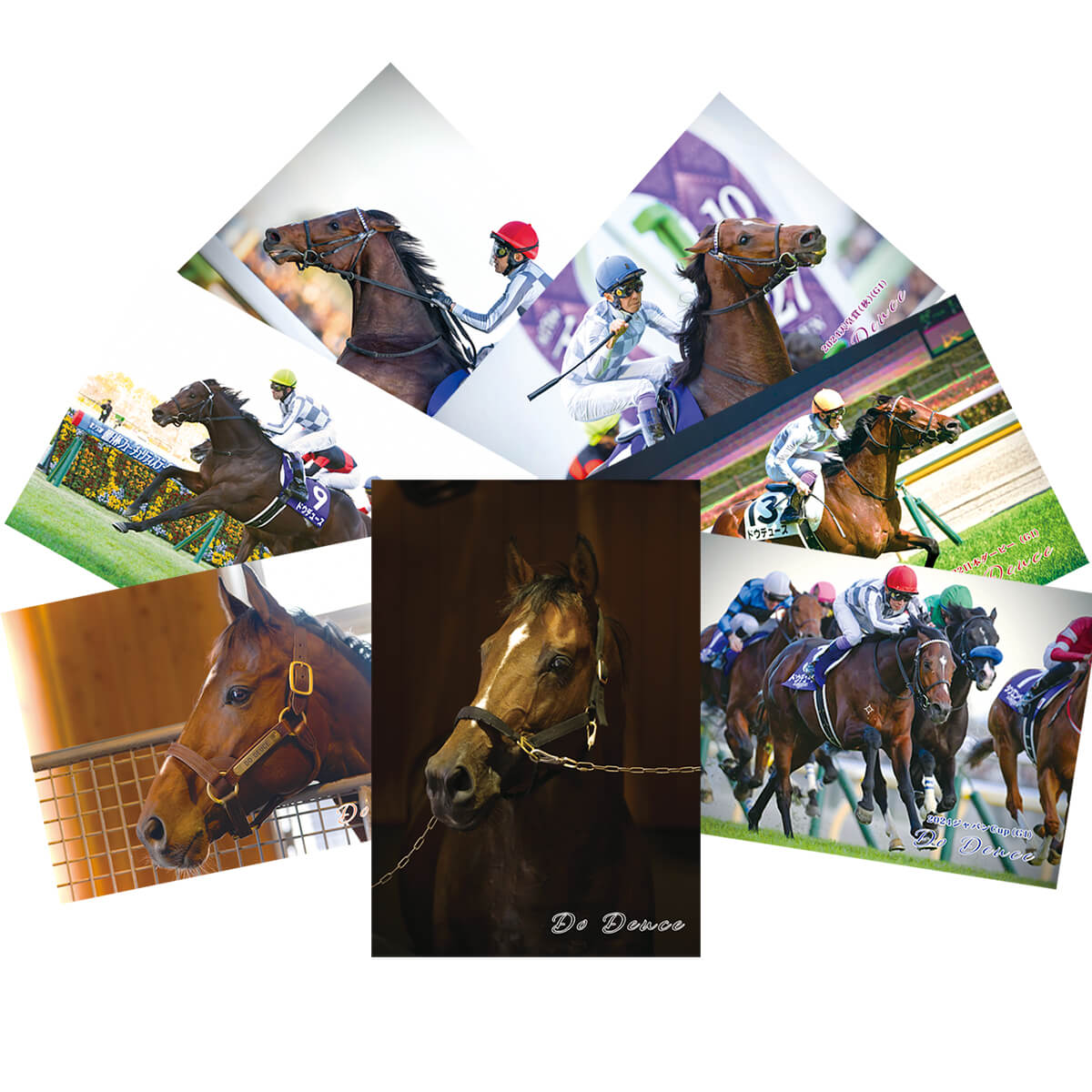 ドウデュース - 競馬グッズの通販サイト ノーザンホースパーク