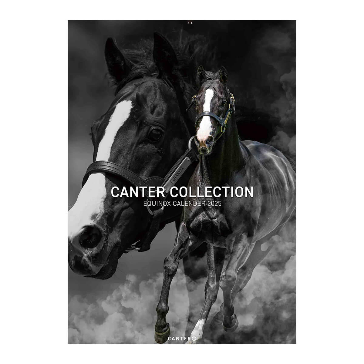 JRA オリジナルフライトタグ ハヤヤッコ サトノカルナバル ゼルトザーム 📌ゆらゆらツインズ 相愛おなまえ傘 めじるしチャーム