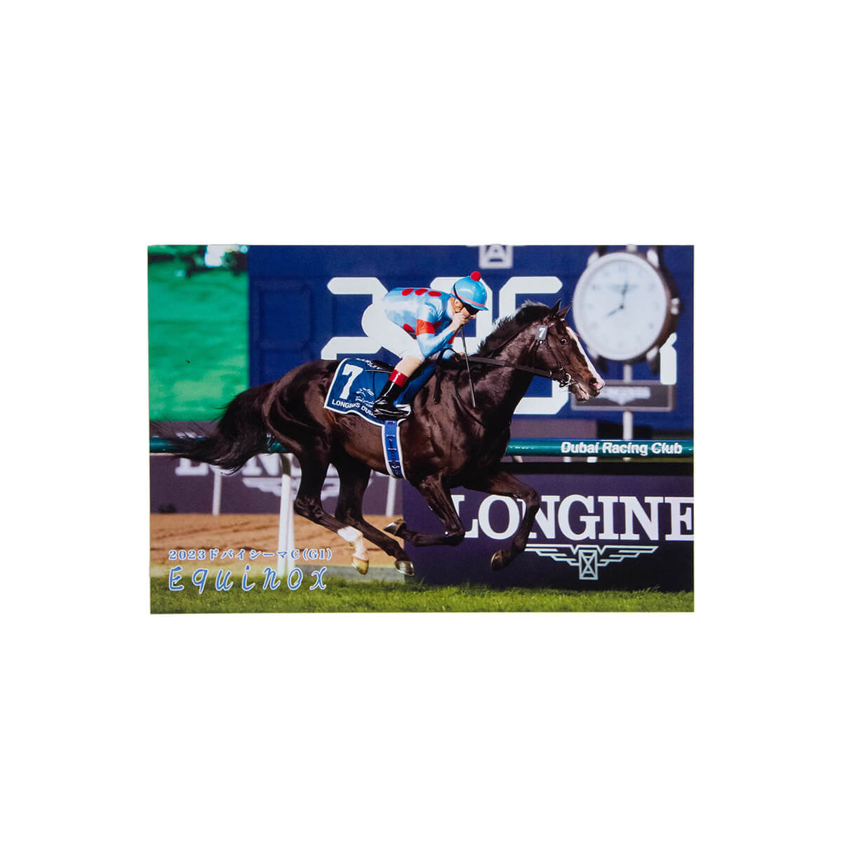 イクイノックス　引退記念品 ポストカード イクイノックス 7枚セット「引退記念」 - 競馬グッズの