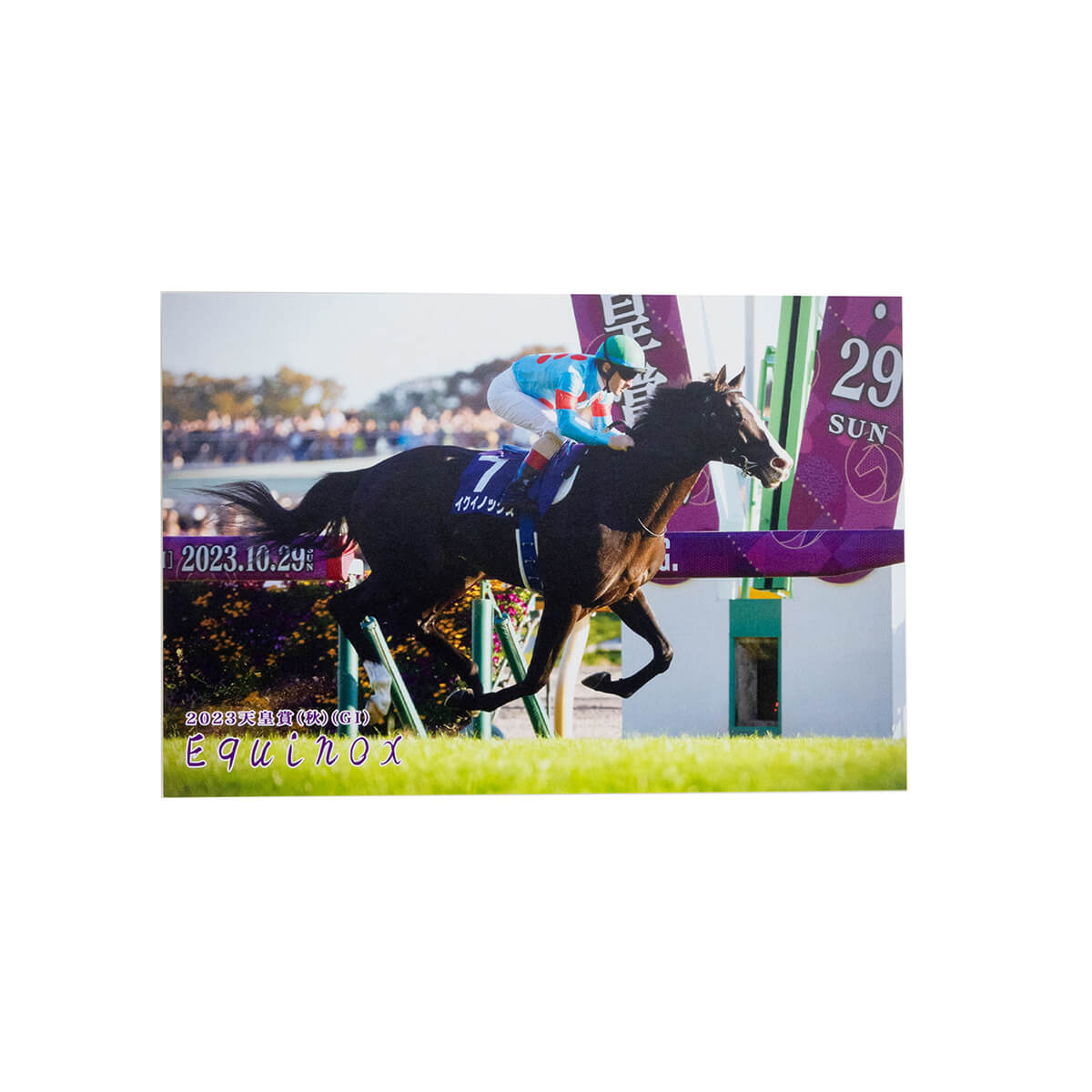 ポストカード イクイノックス 7枚セット「引退記念」 - 競馬グッズの