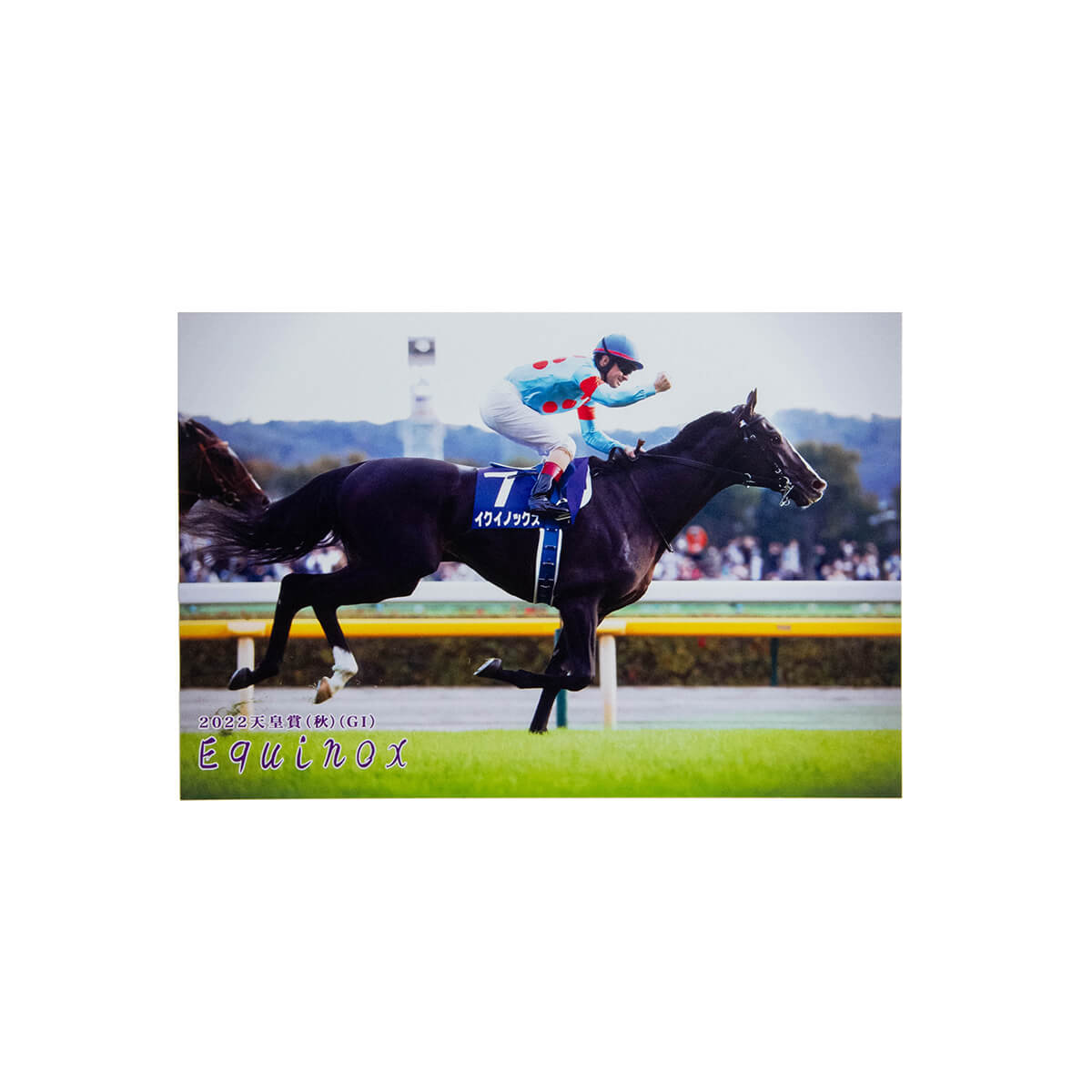 ポストカード イクイノックス 7枚セット「引退記念」 - 競馬グッズの