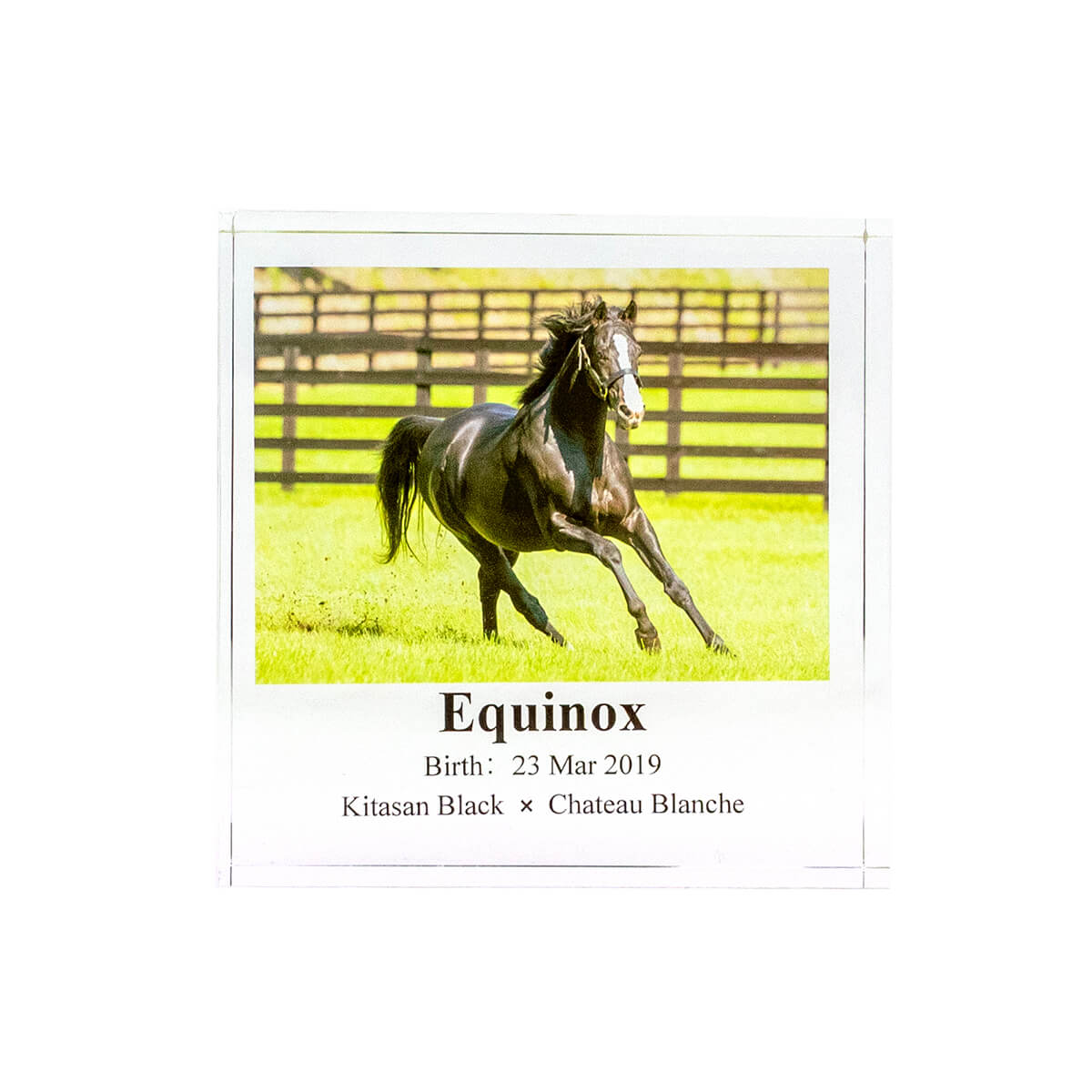 アクリルオブジェ イクイノックス スタリオン2025 - 競馬グッズの通販