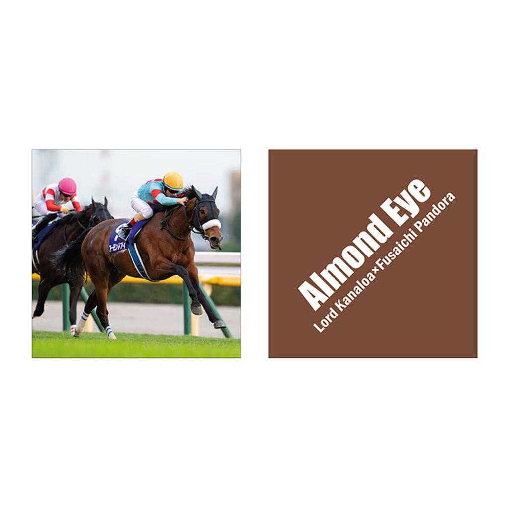 クッション
40ｃｍ×40ｃｍ