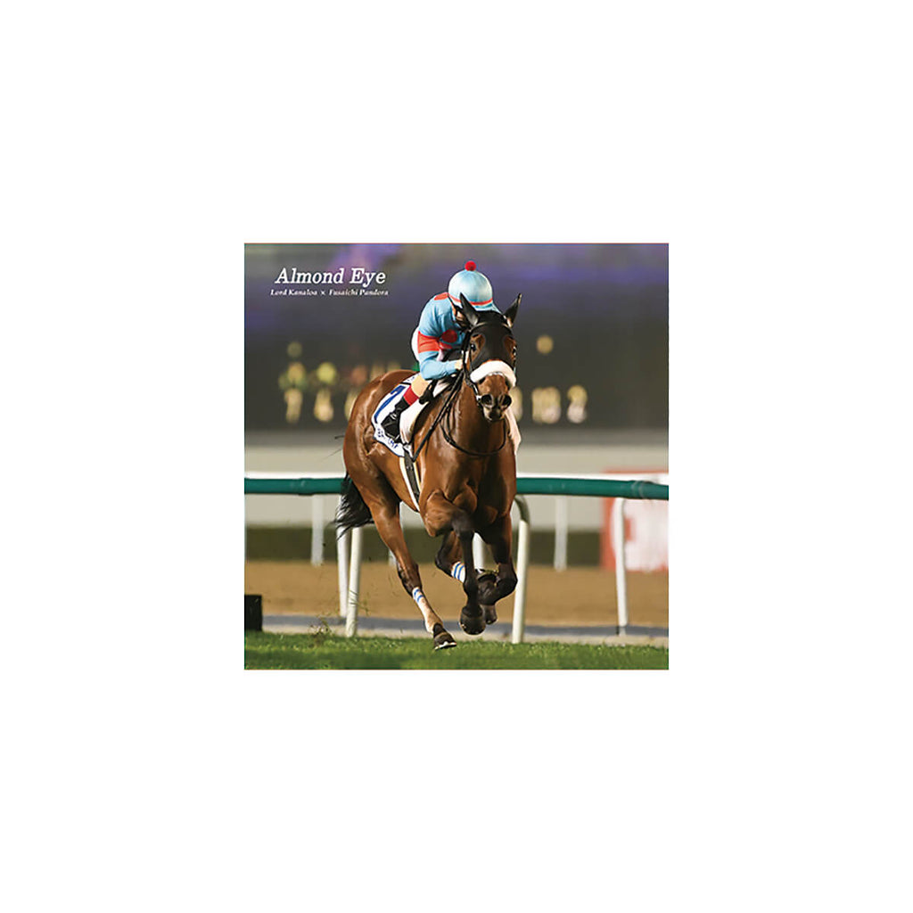 キャンバスボード
18ｃｍ×18ｃｍ