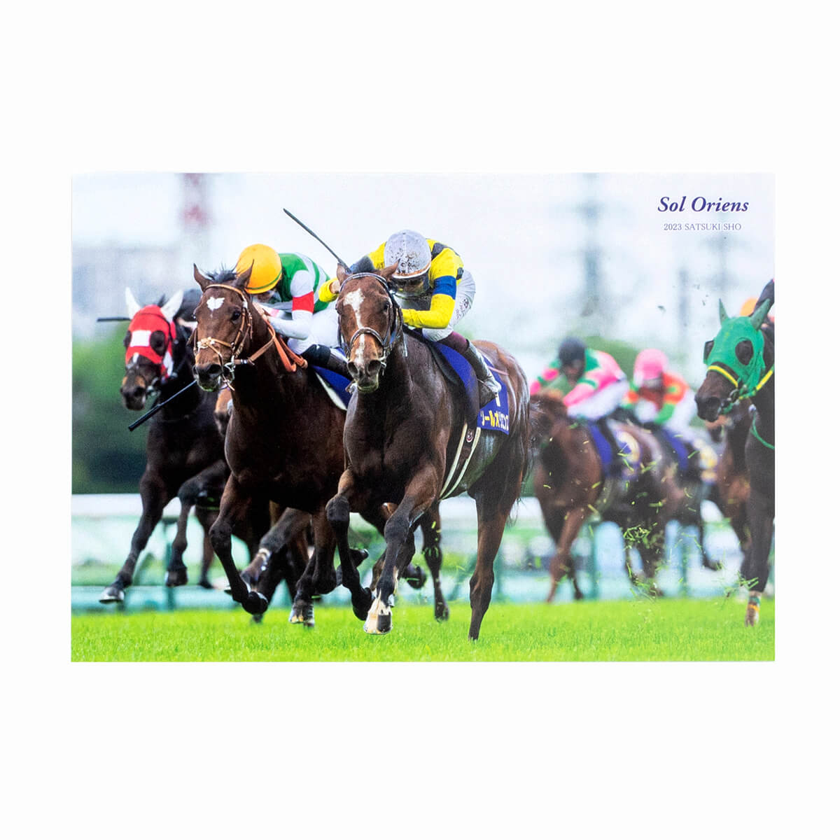 競馬グッズ / ステーショナリー - 競馬グッズの通販サイト ノーザン