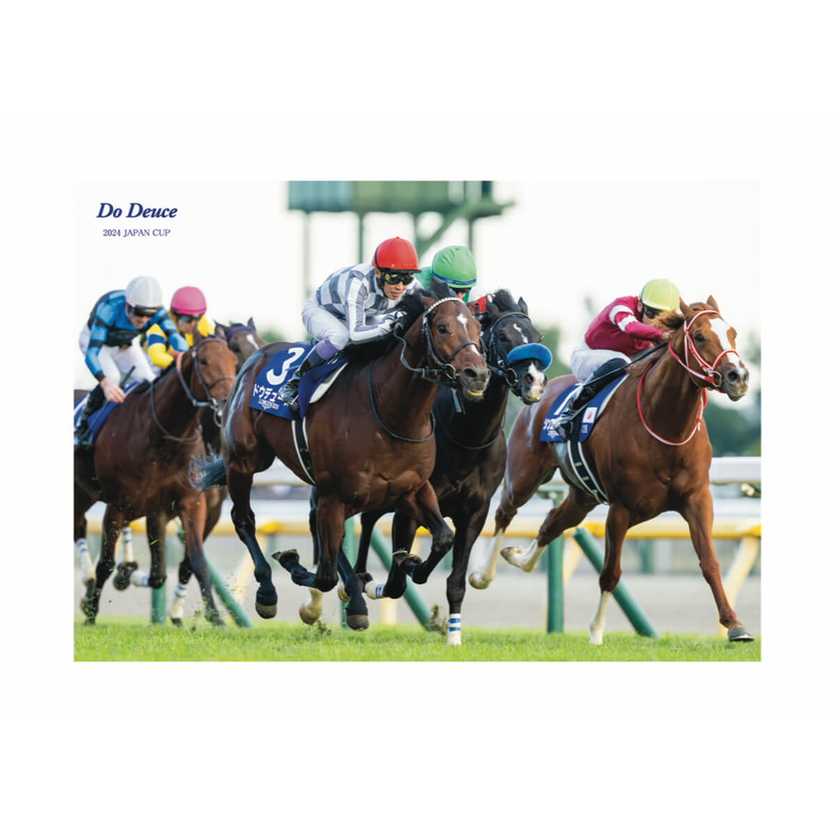 ポストカード　競馬 レターセット・カード - 競馬グッズの通販サイト ノーザンホース