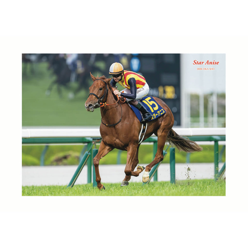 新商品 - 競馬グッズの通販サイト ノーザンホースパーク オンライン
