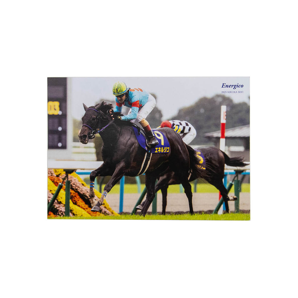 新商品 - 競馬グッズの通販サイト ノーザンホースパーク オンライン