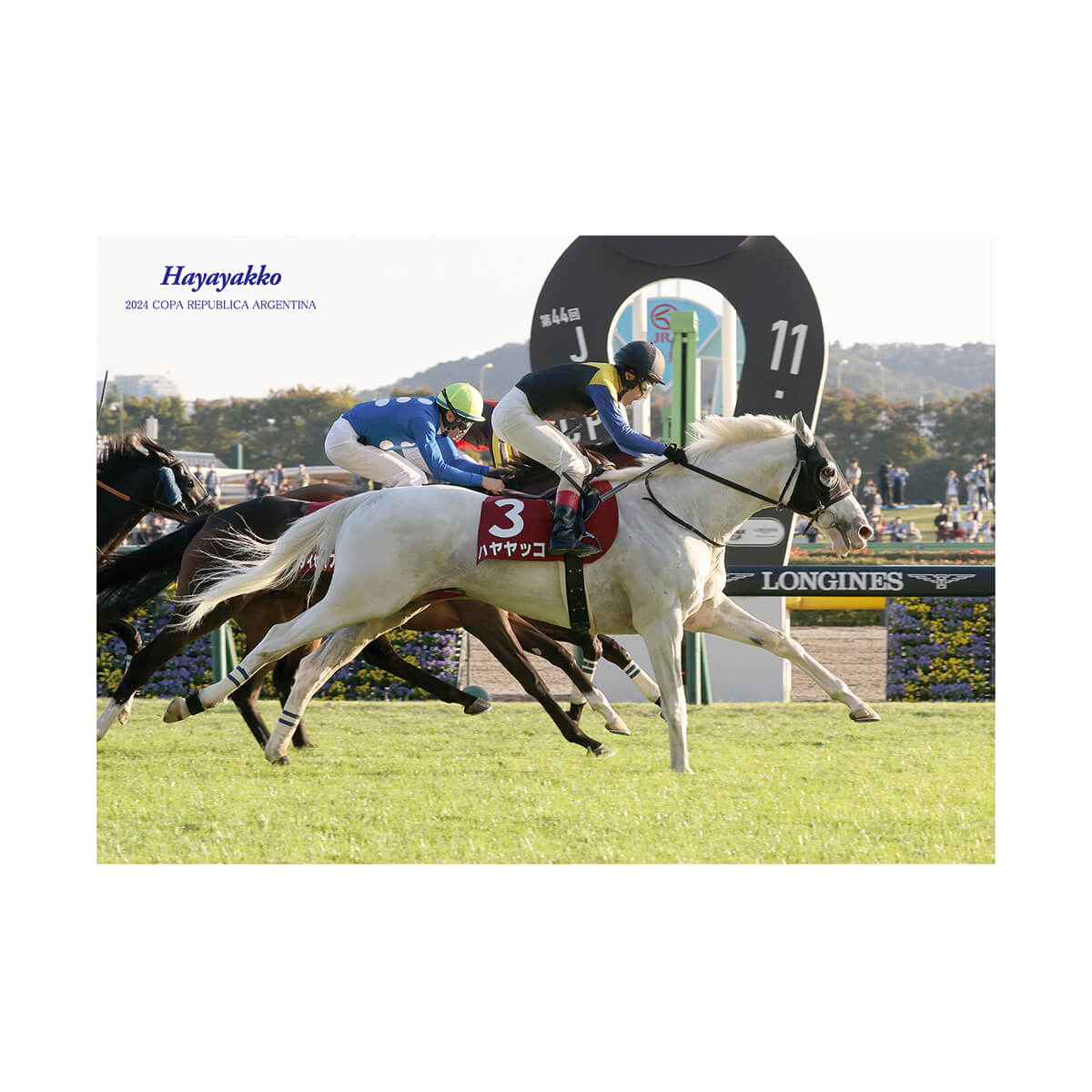 オリジナルポストカード ハヤヤッコ アルゼンチン共和国杯2024 - 競馬