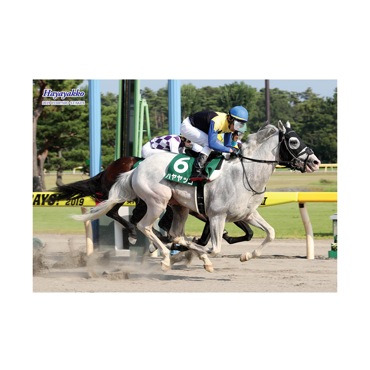 その他競走馬 - 競馬グッズの通販サイト ノーザンホースパーク