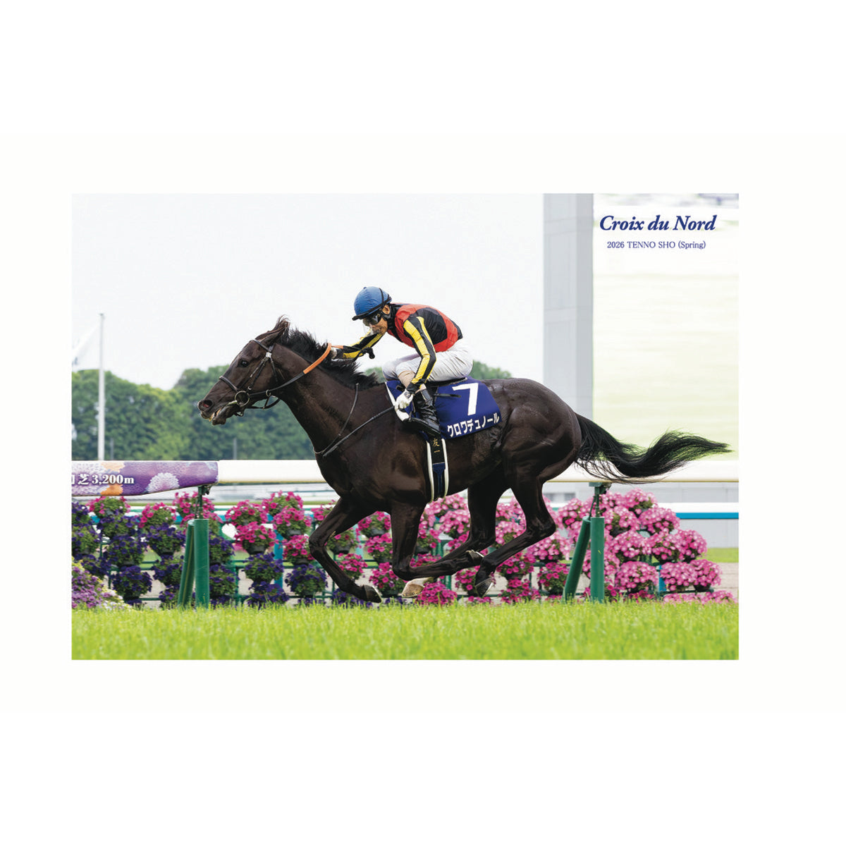 新商品 - 競馬グッズの通販サイト ノーザンホースパーク オンライン
