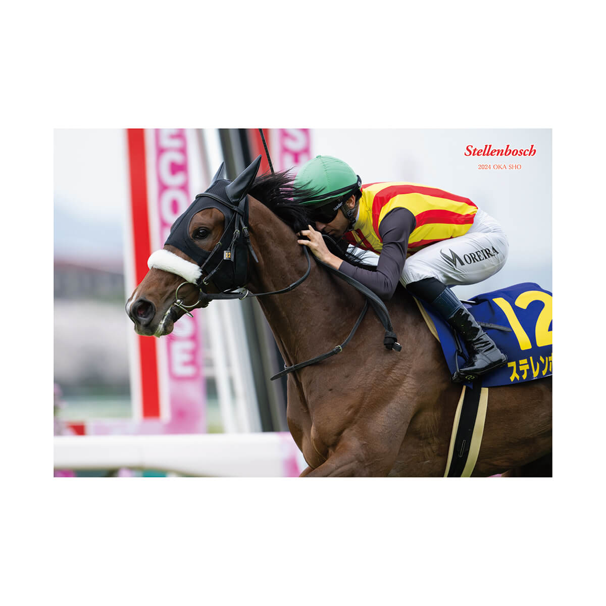 その他競走馬 - 競馬グッズの通販サイト ノーザンホースパーク