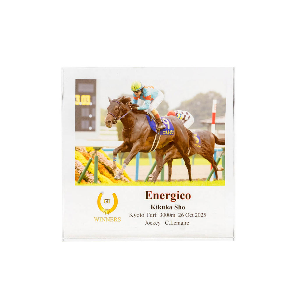 インテリア一覧 - 競馬グッズの通販サイト ノーザンホースパーク