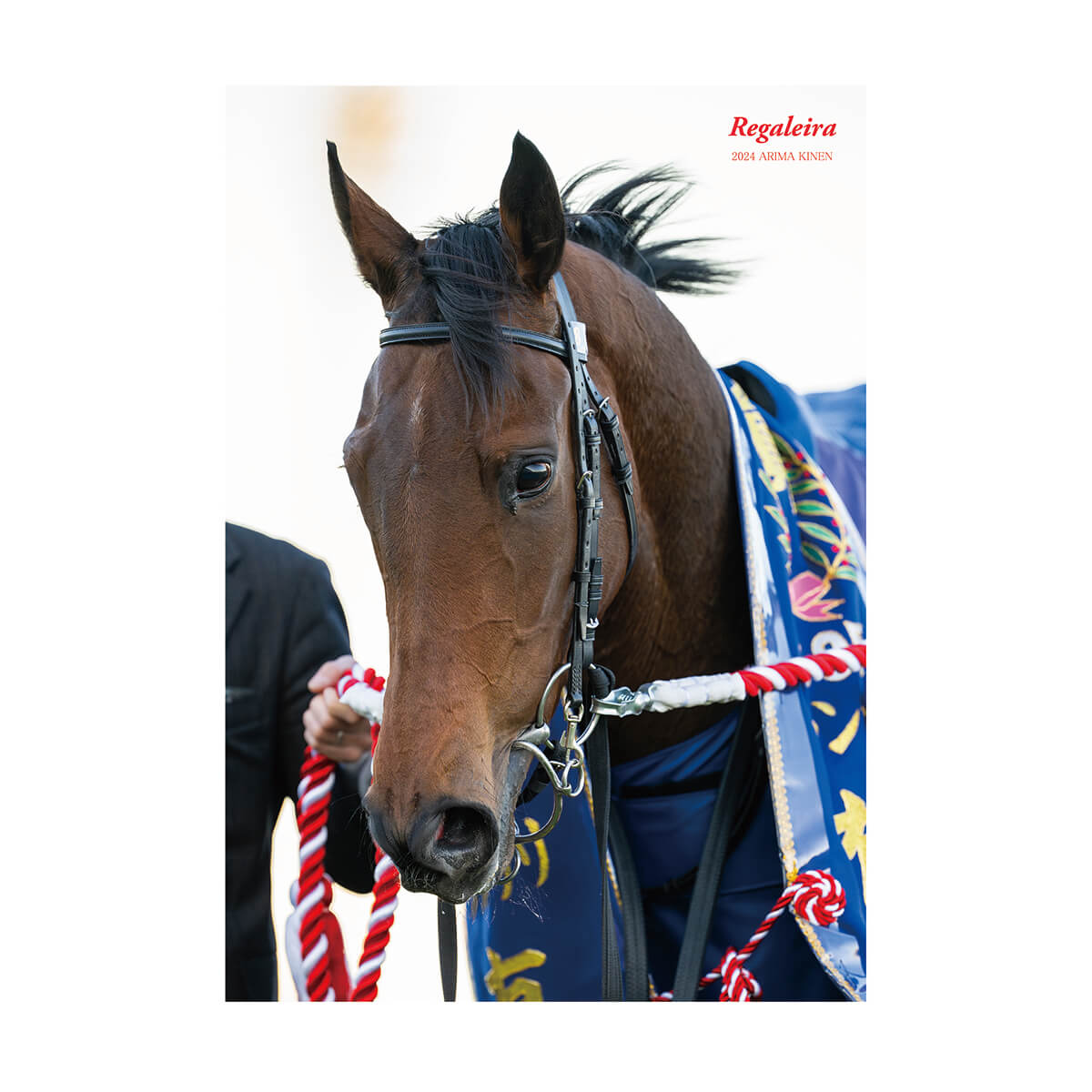 すべての商品 - 競馬グッズの通販サイト ノーザンホースパーク