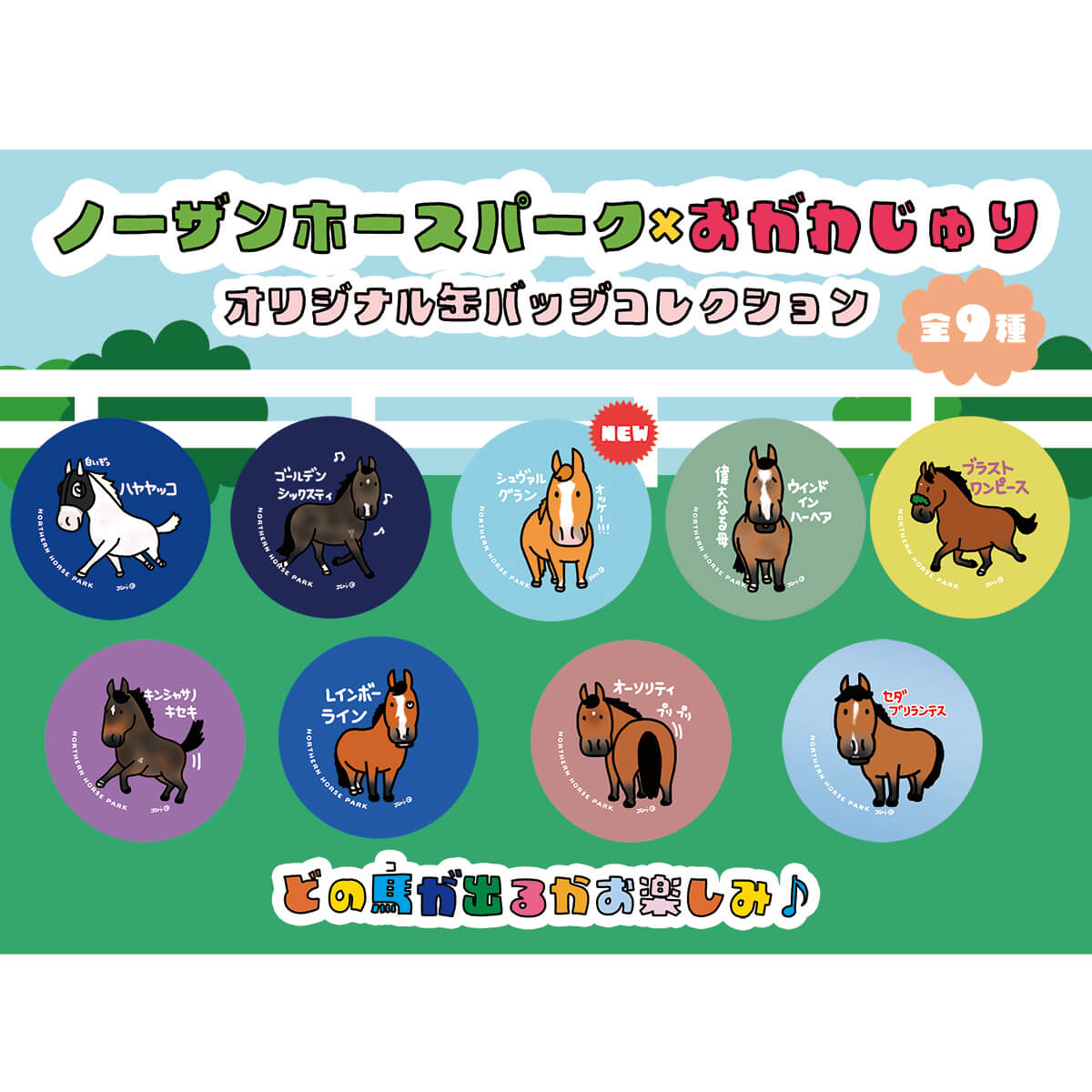 競馬グッズ / アクセサリー - 競馬グッズの通販サイト ノーザンホース