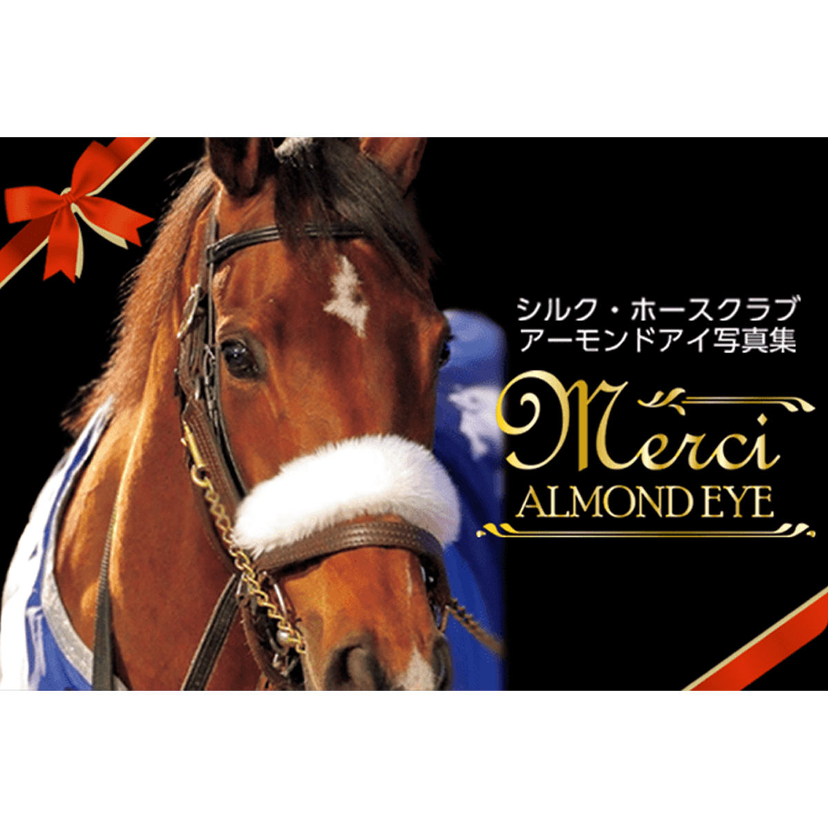 アーモンドアイ - 競馬グッズの通販サイト ノーザンホースパーク アーモンドアイ - 競馬グッズの通販サイト ノーザンホースパーク