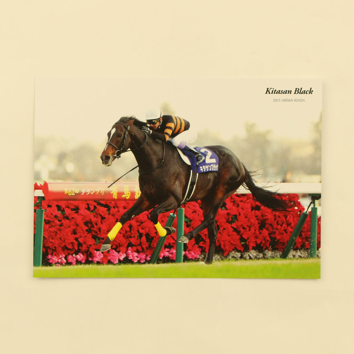 ホースレーシング2019　キタサンブラック オリジナルポストカード キタサンブラック 有馬記念 - 競馬グッズの