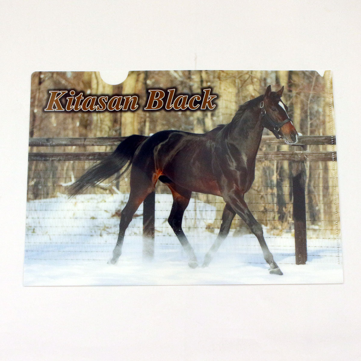 種牡馬 - 競馬グッズの通販サイト ノーザンホースパーク オンライン