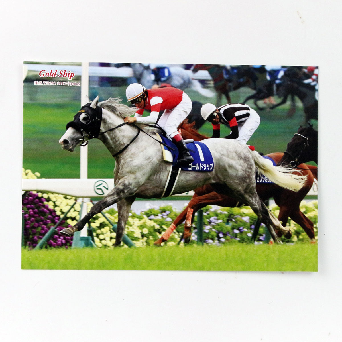 ゴールドシップ プレゼントキャンペーン 競馬カード 101675_01_1200x.jpg?v=1647426271