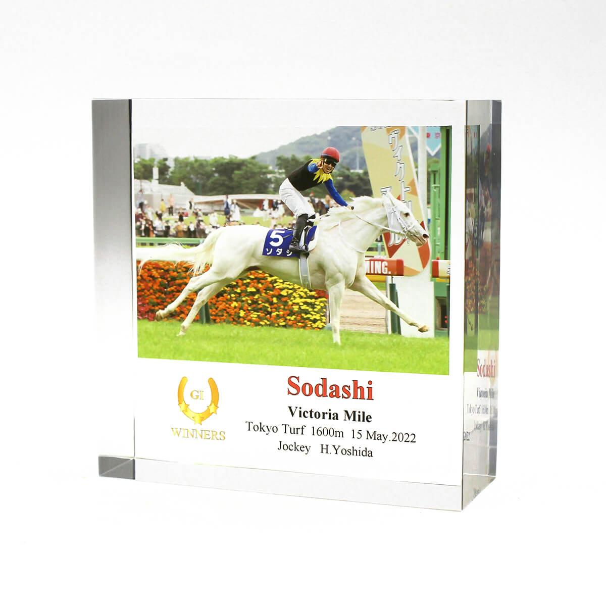 宮城掲載 【店頭引き取り限定】Tamakoshi タマコシ22インチCTB子供用