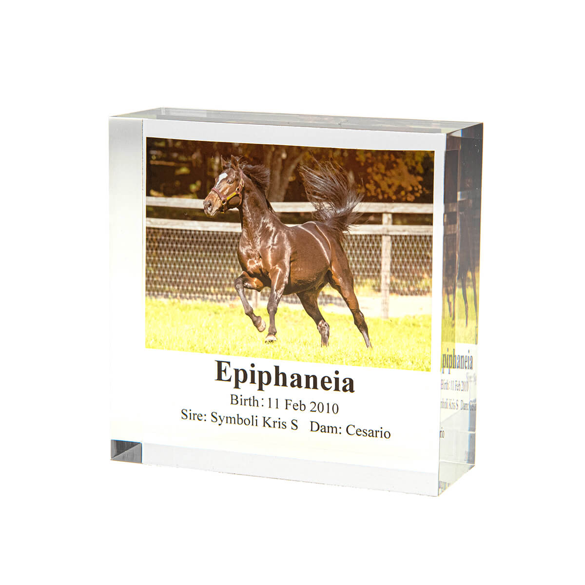 アクリルオブジェ - 競馬グッズの通販サイト ノーザンホースパーク