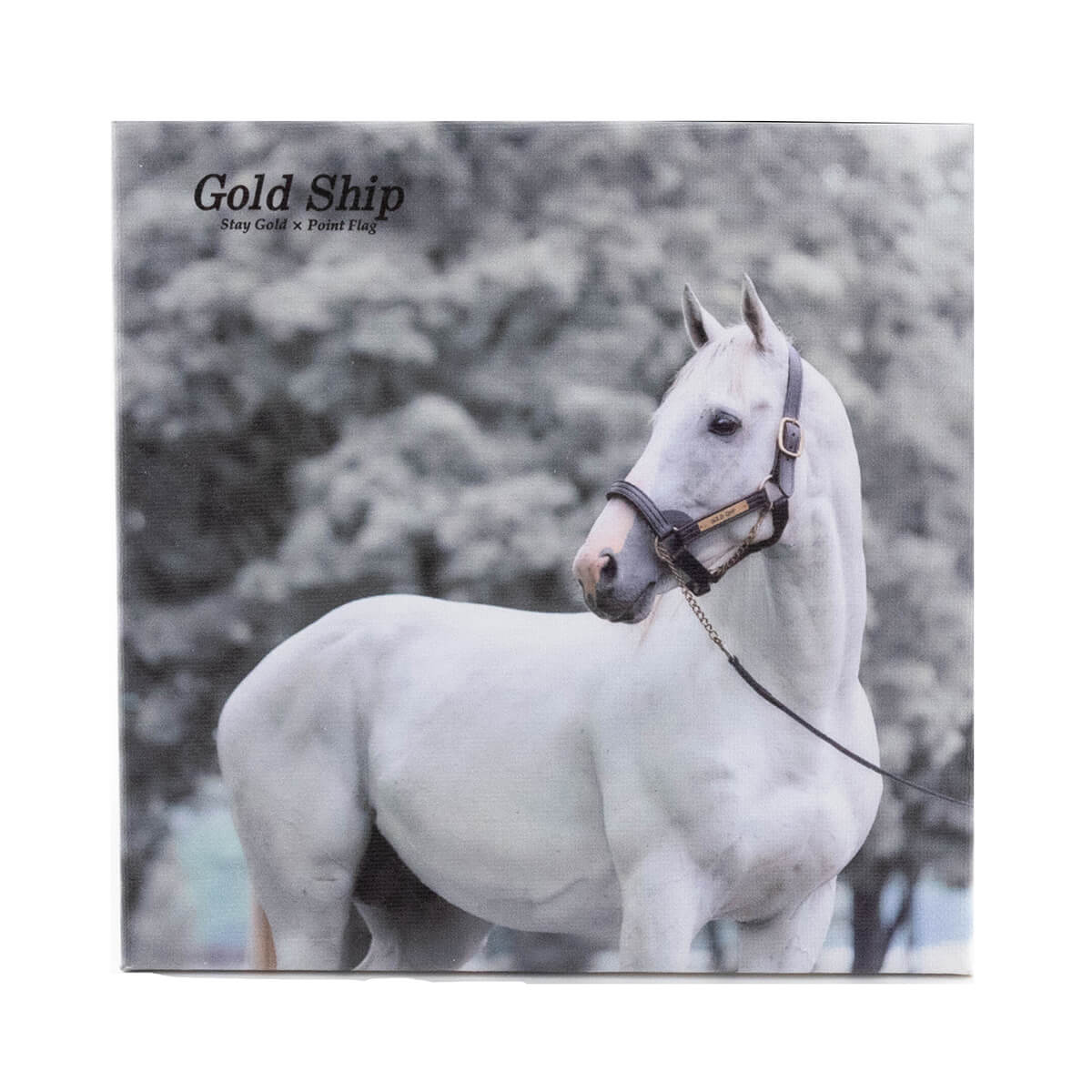 馬のある静物２ 馬のある静物2 馬のある静物2 置物・アート - 競馬グッズの通販サイト