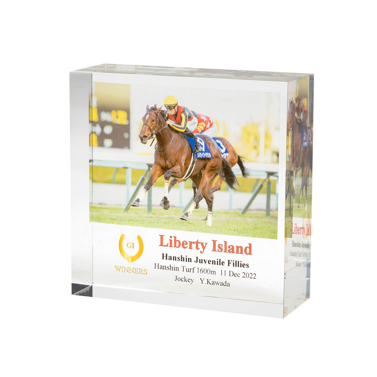 DSC3143_2048x.jpg?v=1673140153