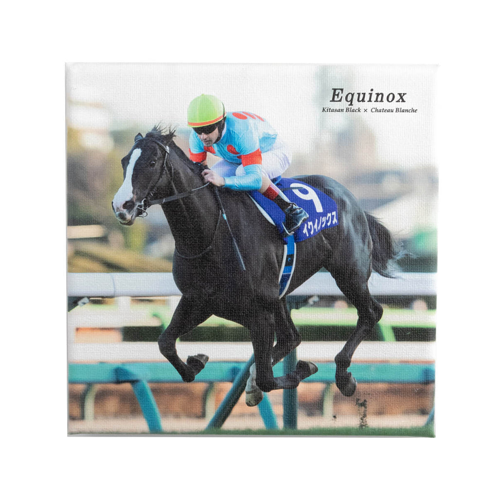 イクイノックス 競馬 限定 タンブラー | www.esn-ub.org