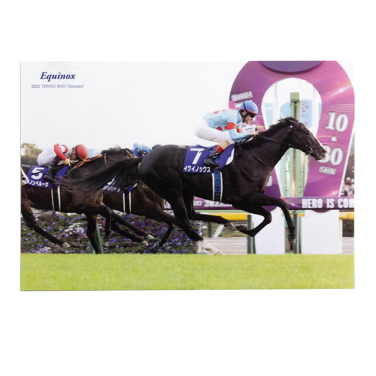 競馬グッズ / ステーショナリー - 競馬グッズの通販サイト ノーザン