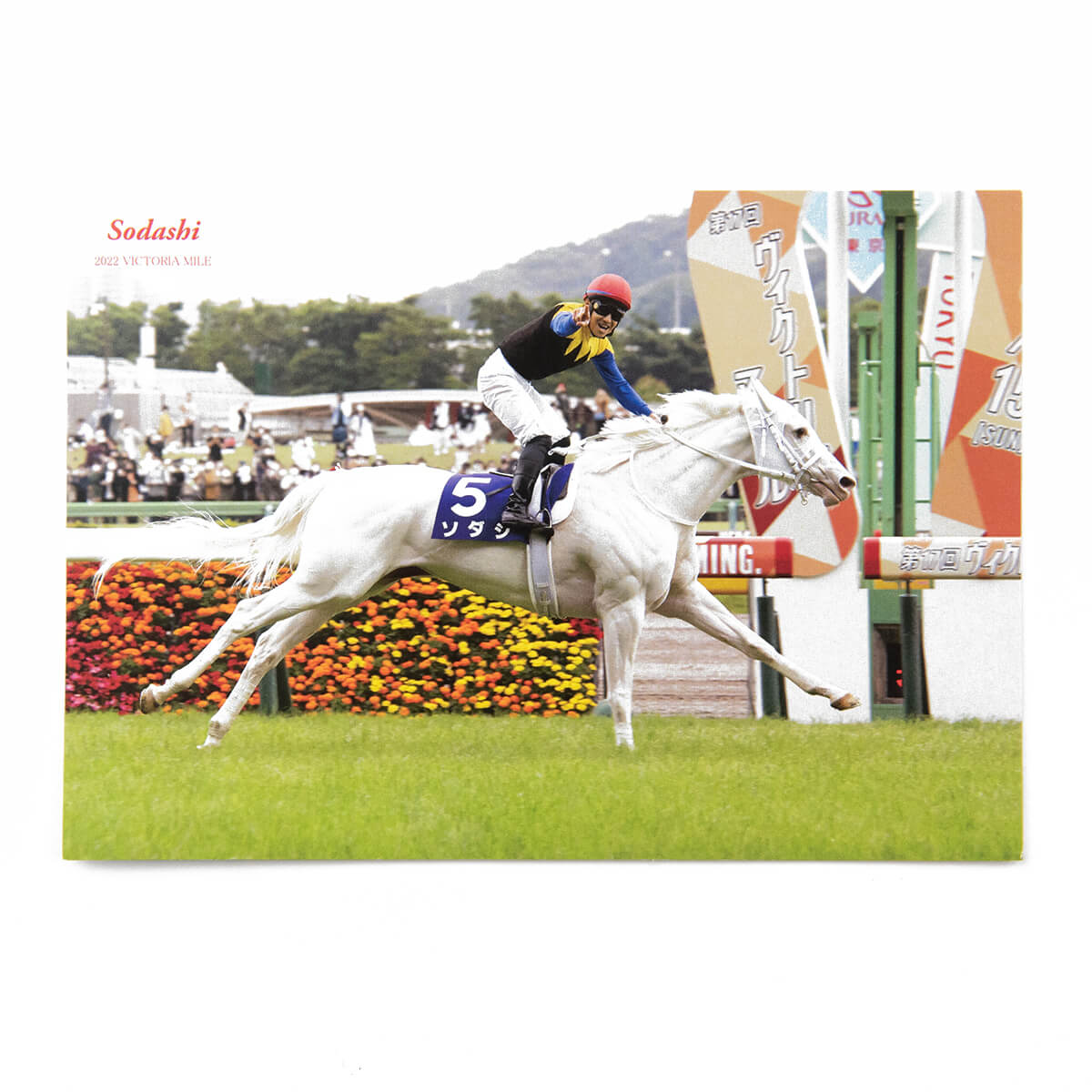 レターセット・カード - 競馬グッズの通販サイト ノーザンホース