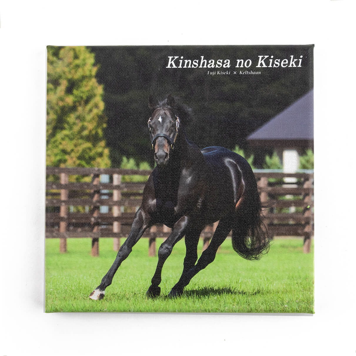 競馬グッズ / ホーム・雑貨 - 競馬グッズの通販サイト ノーザンホース