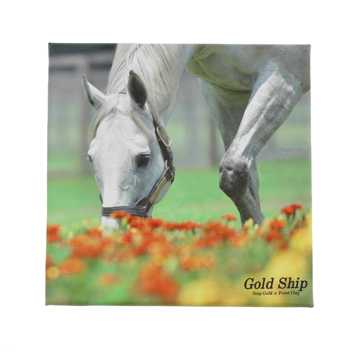 希少♡ゴールドシップ　キャンバスボード　競馬/午年 キャンバスボード ゴールドシップ spring - 競馬グッズの通販サイト